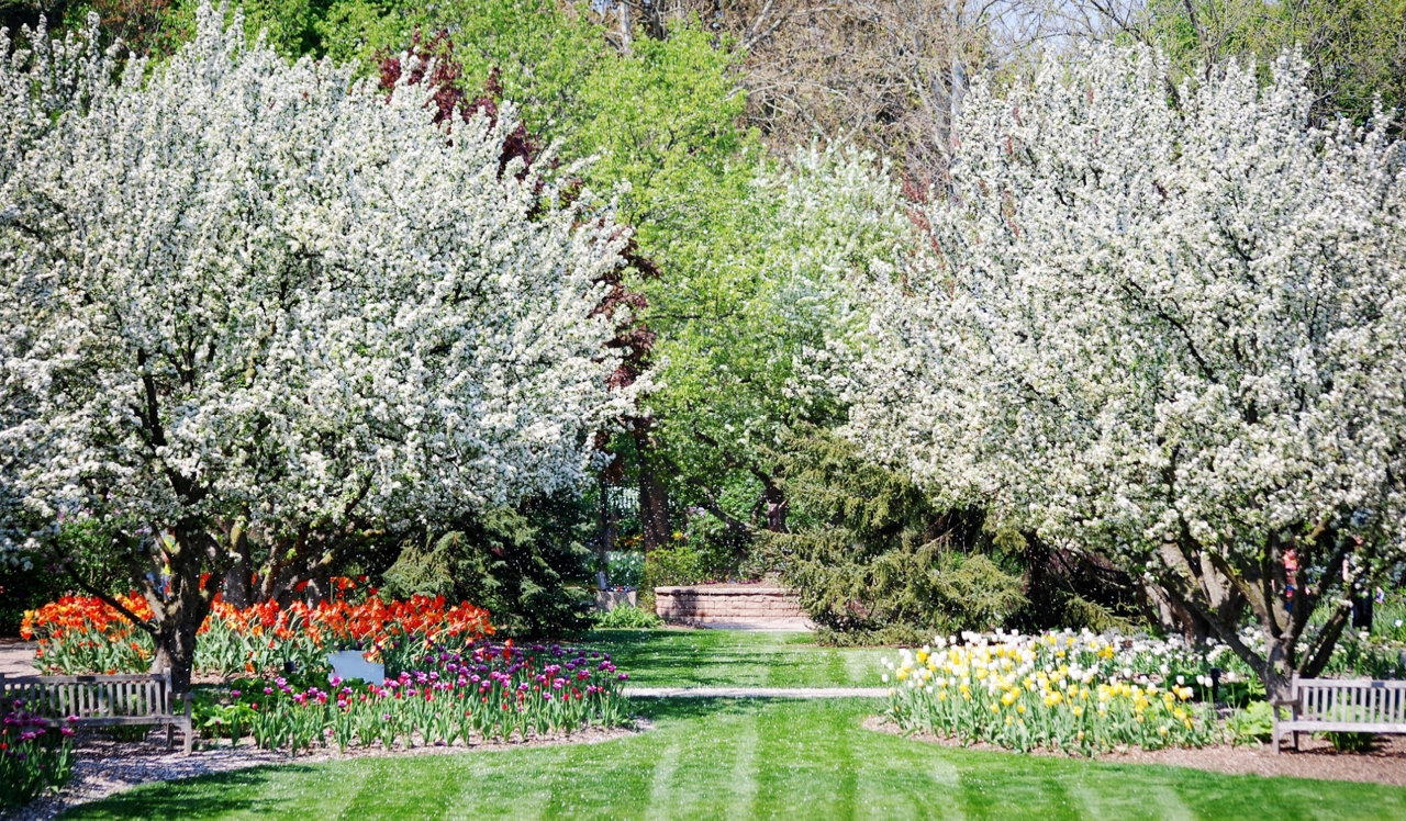 Yorktown Apartments - Lombard, IL - Lilacia Park