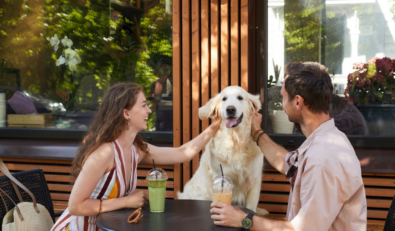 707 Leahy - Redwood City, CA - Couple Petting Dog