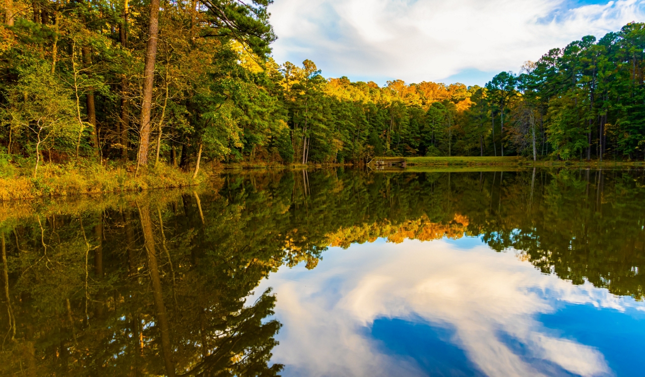 Brizo - Durham, NC - William B. Umstead State Park.<p style="text-align: center;">&nbsp;</p>
<p style="text-align: center;">Enjoy a retreat from the city with hiking, fishing, and camping at William B. Umstead State Park, less than 10 miles from Brizo.</p>
