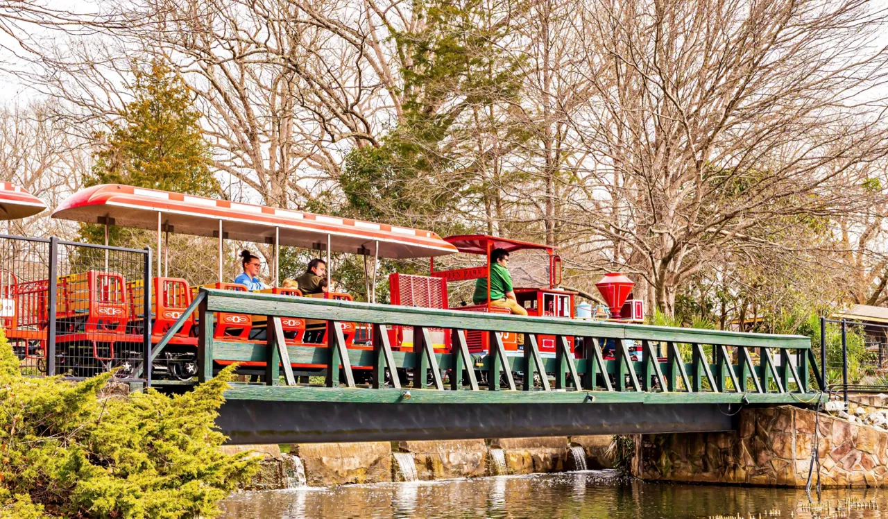 Olde Towne Residences - Raleigh, NC  - Amusement Park