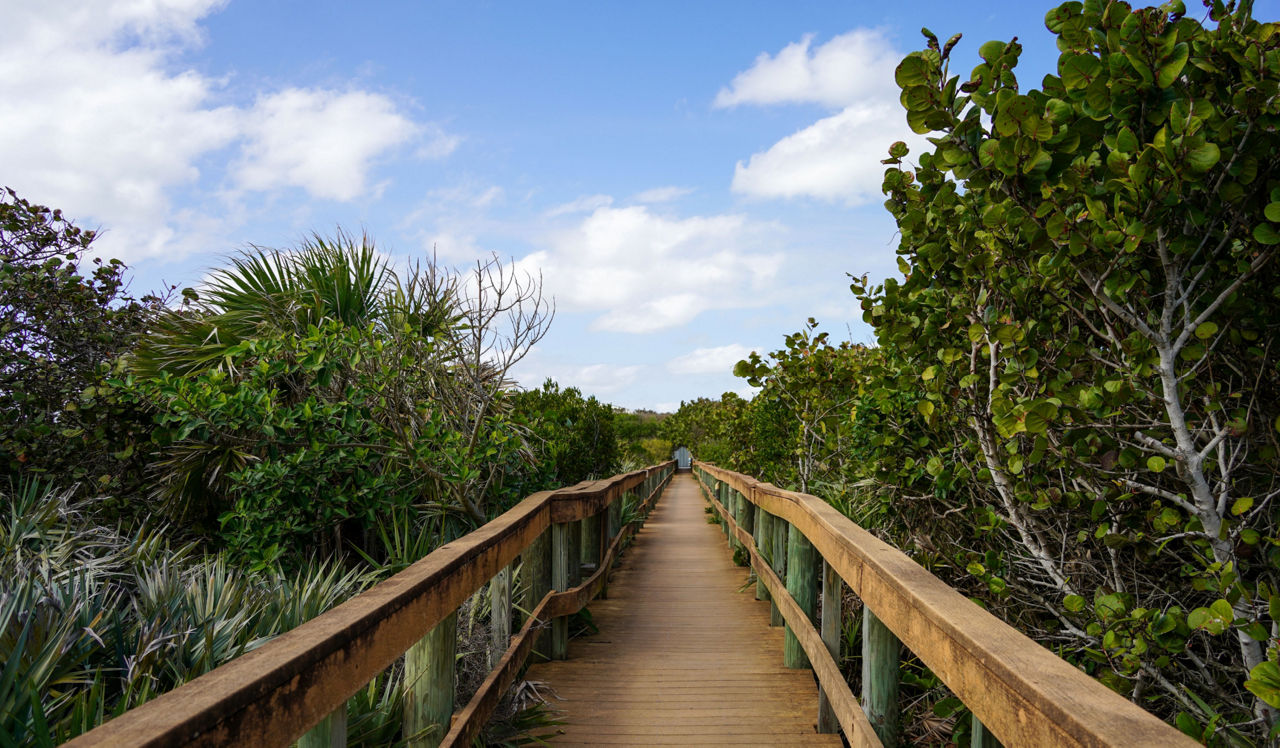 City Center on 7th Apartments - City Center, FL - Nature trail in florida