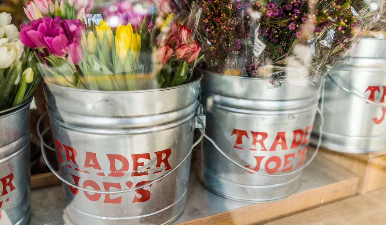Bent Tree Apts - Centreville - Trader Joes