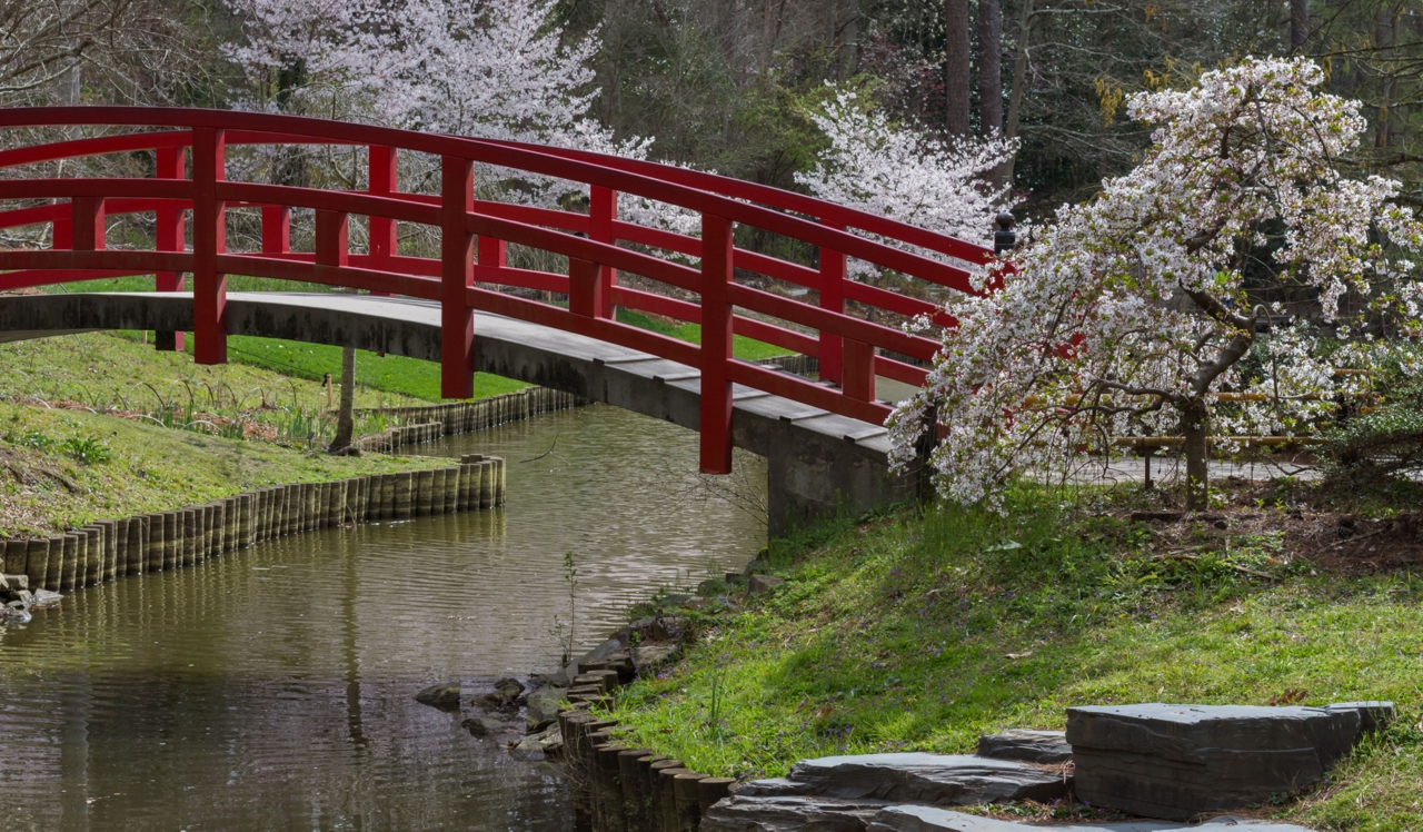 Bridge over a creek in a park