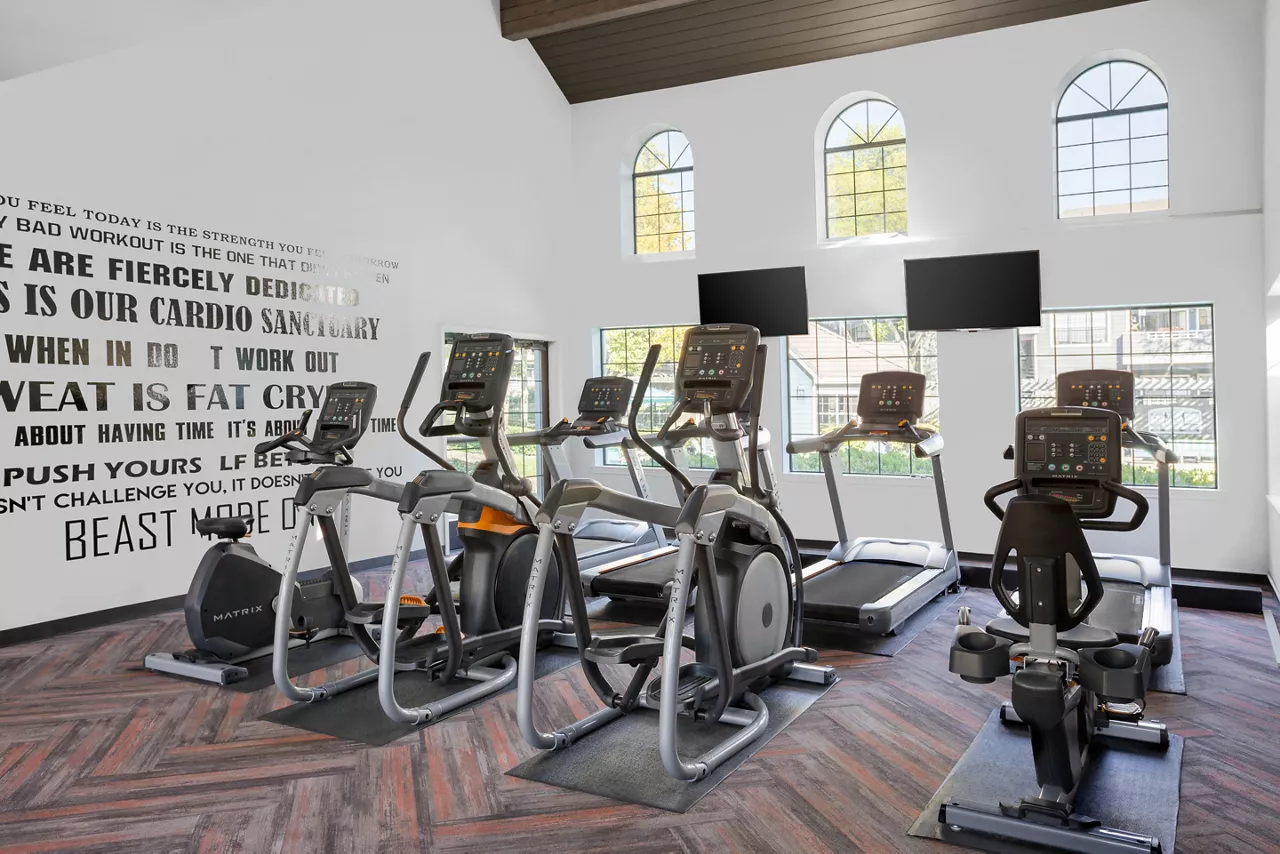 gym 4