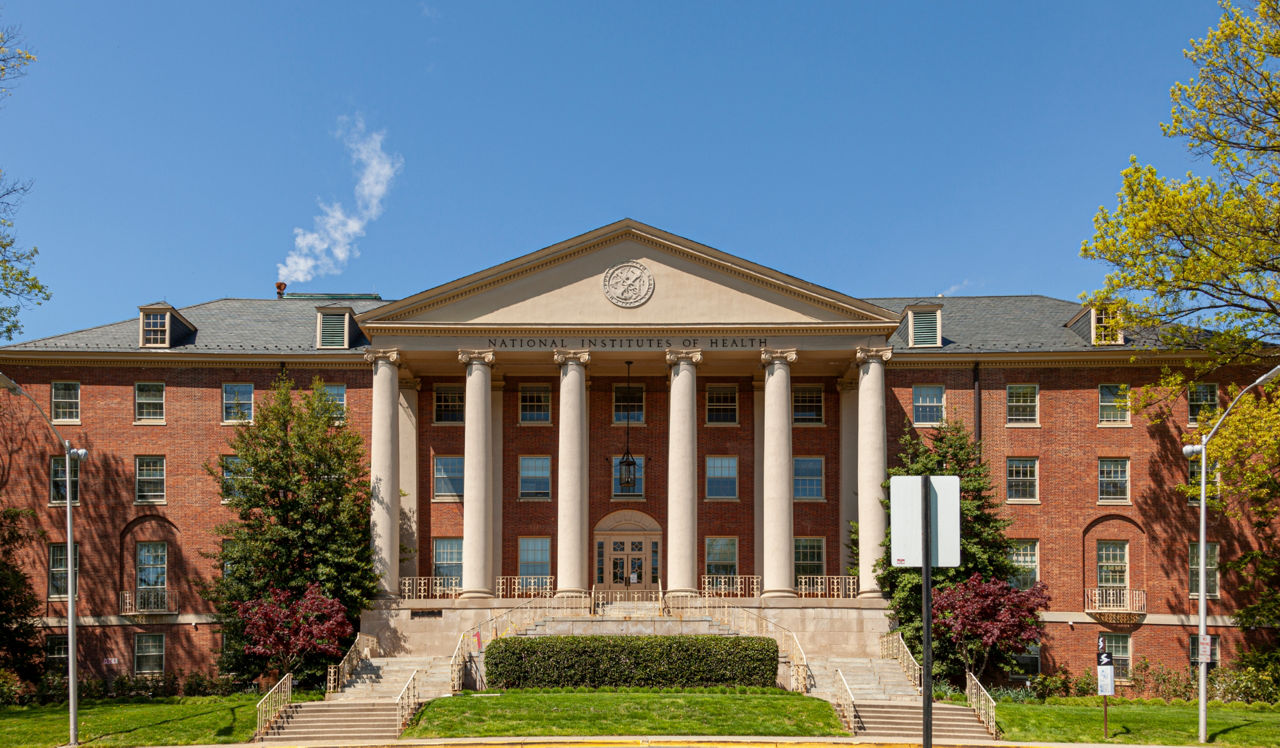 Ravel and Royale - Washington, D.C. - NIH