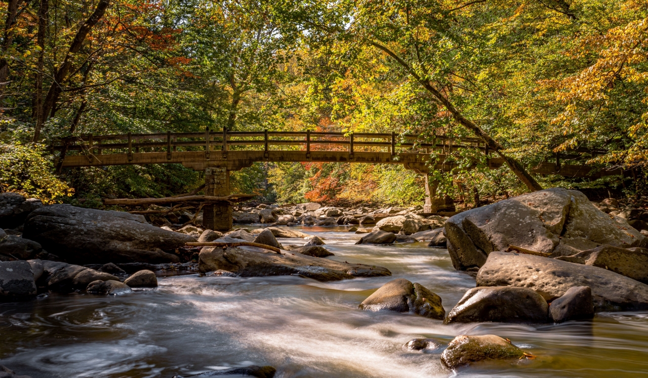 Ravel and Royale - Washignton, DC - Bridge.<div style="text-align: center;">Enjoy 32 miles of hiking trails and scenic bike paths in your backyard at Rock Creek Park, one of the country's premier urban national parks.</div>
