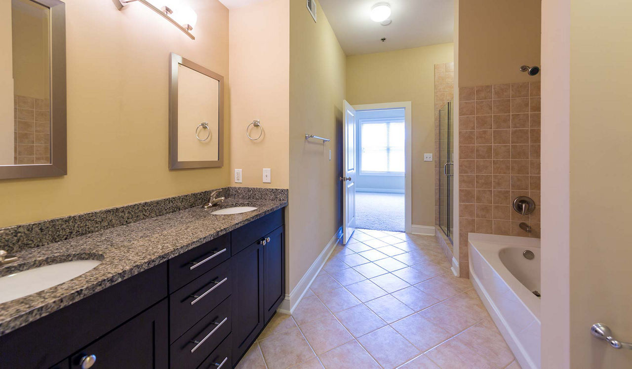 Tremont Apartment Homes - Atlanta, GA - bathroom