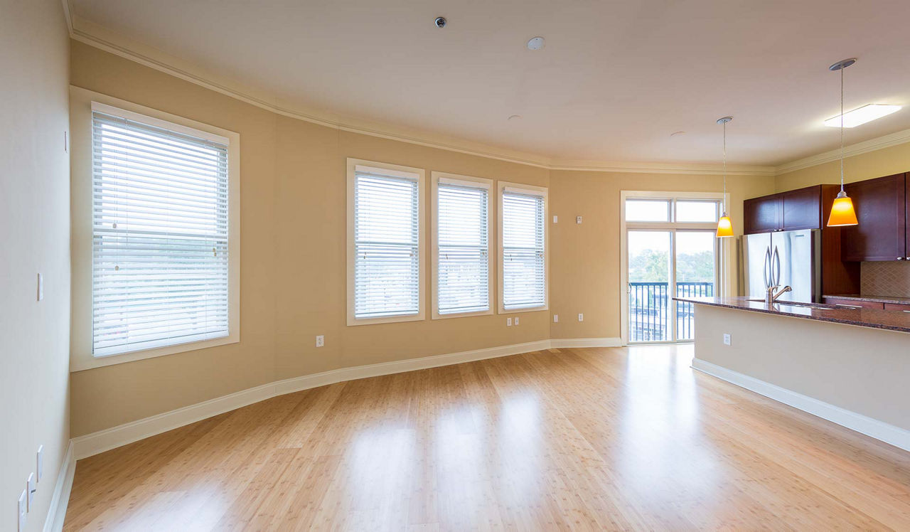 Tremont Apartment Homes - Atlanta, GA - living room