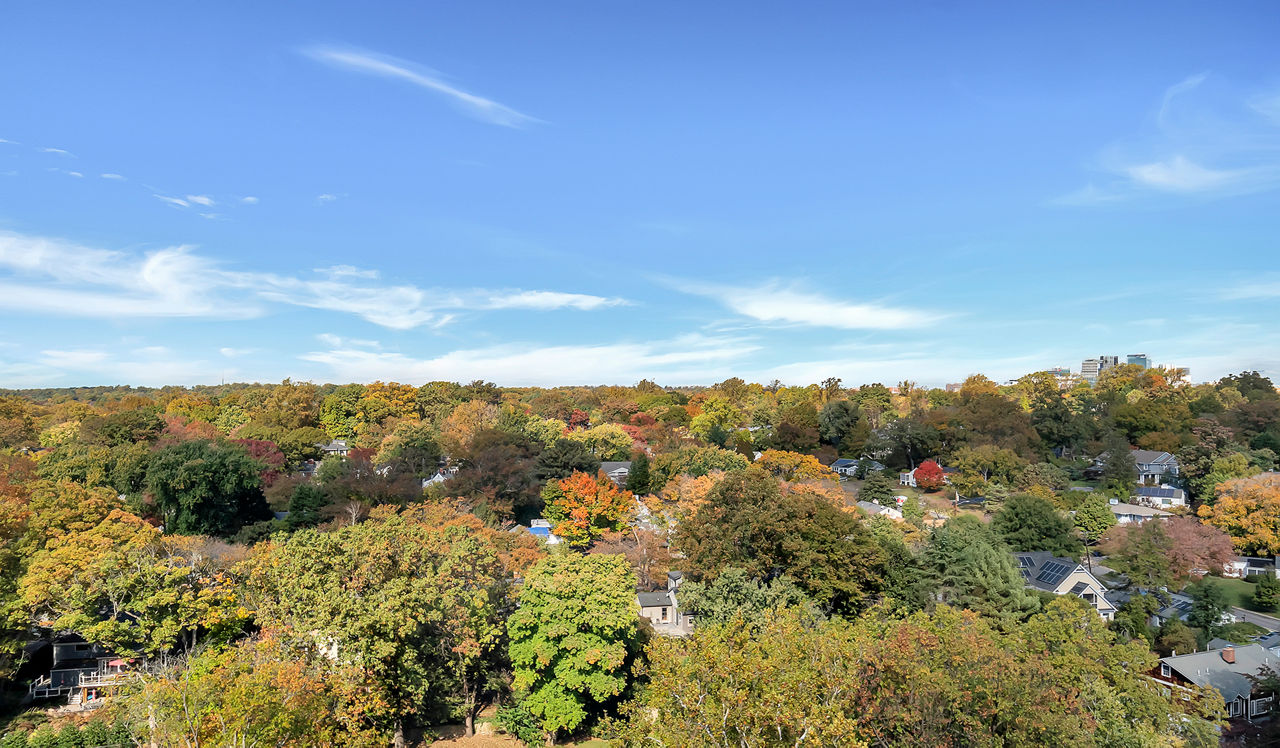 Willard Towers - Chevy Chase, MD - View
