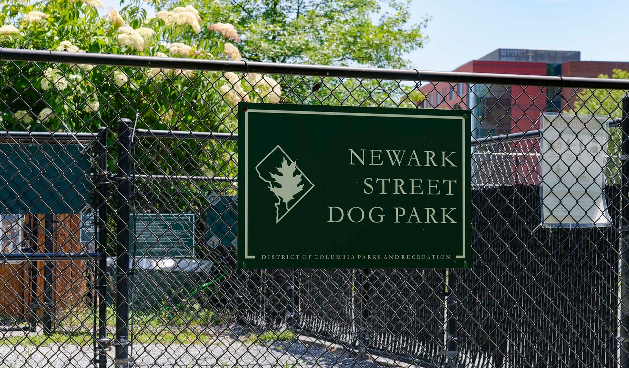 Vaughan Place in Washington, DC - Newark Street Dog Park.<p>&nbsp;</p>
<p style="text-align: center;">Let your pup run and play at Newark Street Dog Park, located across the street.</p>
