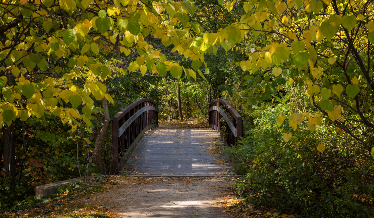 Charlesbank - Watertown, MA - Bridge