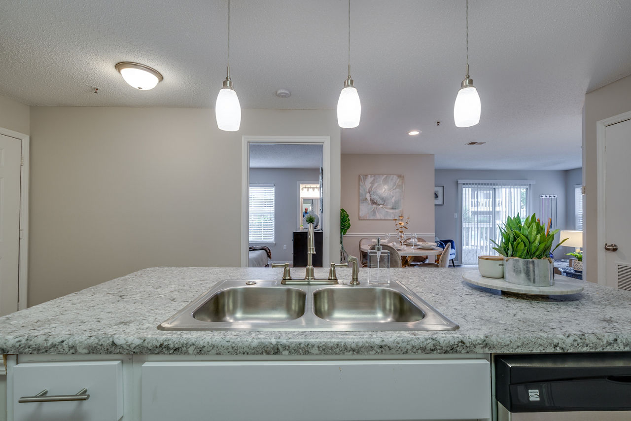 Windsor Falls - Raleigh, NC - Living Room