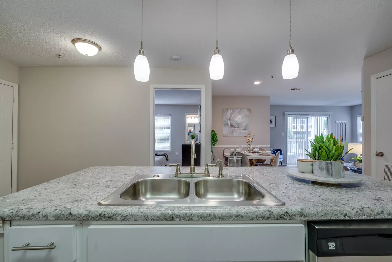 Windsor Falls - Raleigh, NC - Living Room