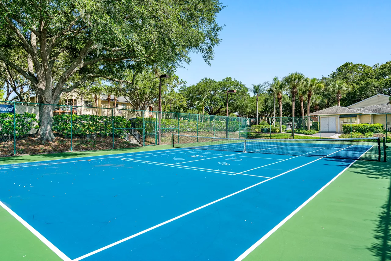 Winthrop West in Tampa, FL - Tennis Court