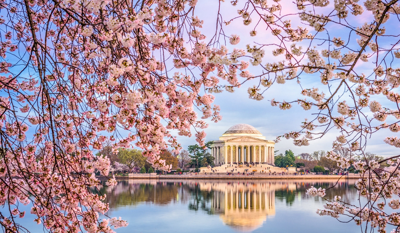 Avery Row - Arlington, VA - Potomac.<div style="text-align: center;">Avery Row is conveniently located just 5 minutes from Washington, D.C. via the Georgetown Key Bridge.&nbsp;We’re right across the Potomac and less than ten minutes from all the biggest landmarks in D.C.</div>
