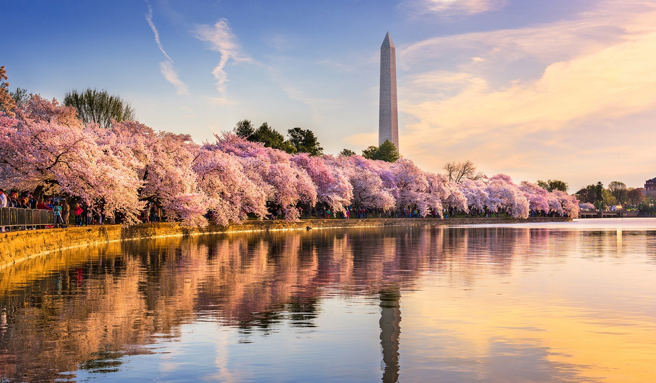 Avery Row Apartments - Arlington, VA - Washington Monument