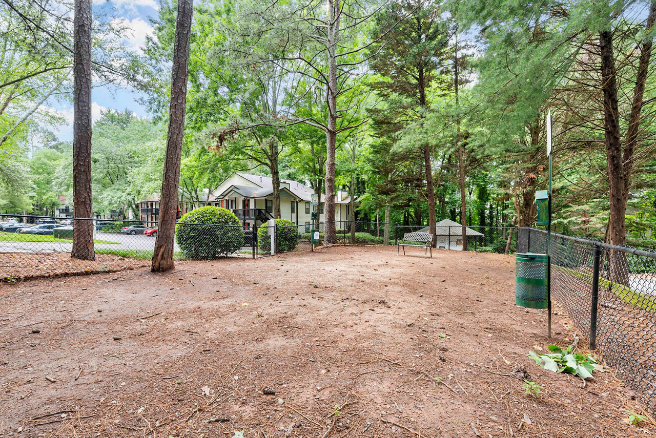 The Addison at Sandy Springs 7 of 12