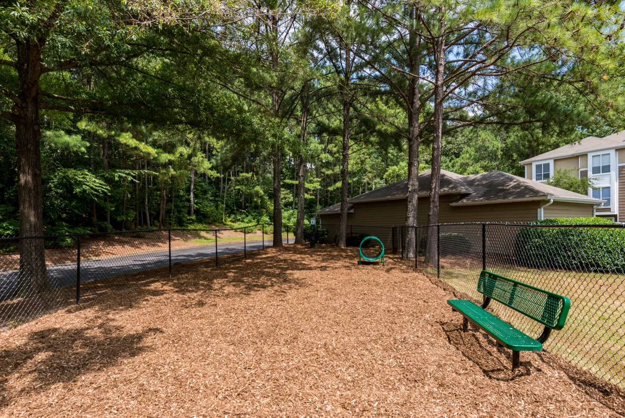 Lumin East Cobb in Atlanta, GA - Dog Park