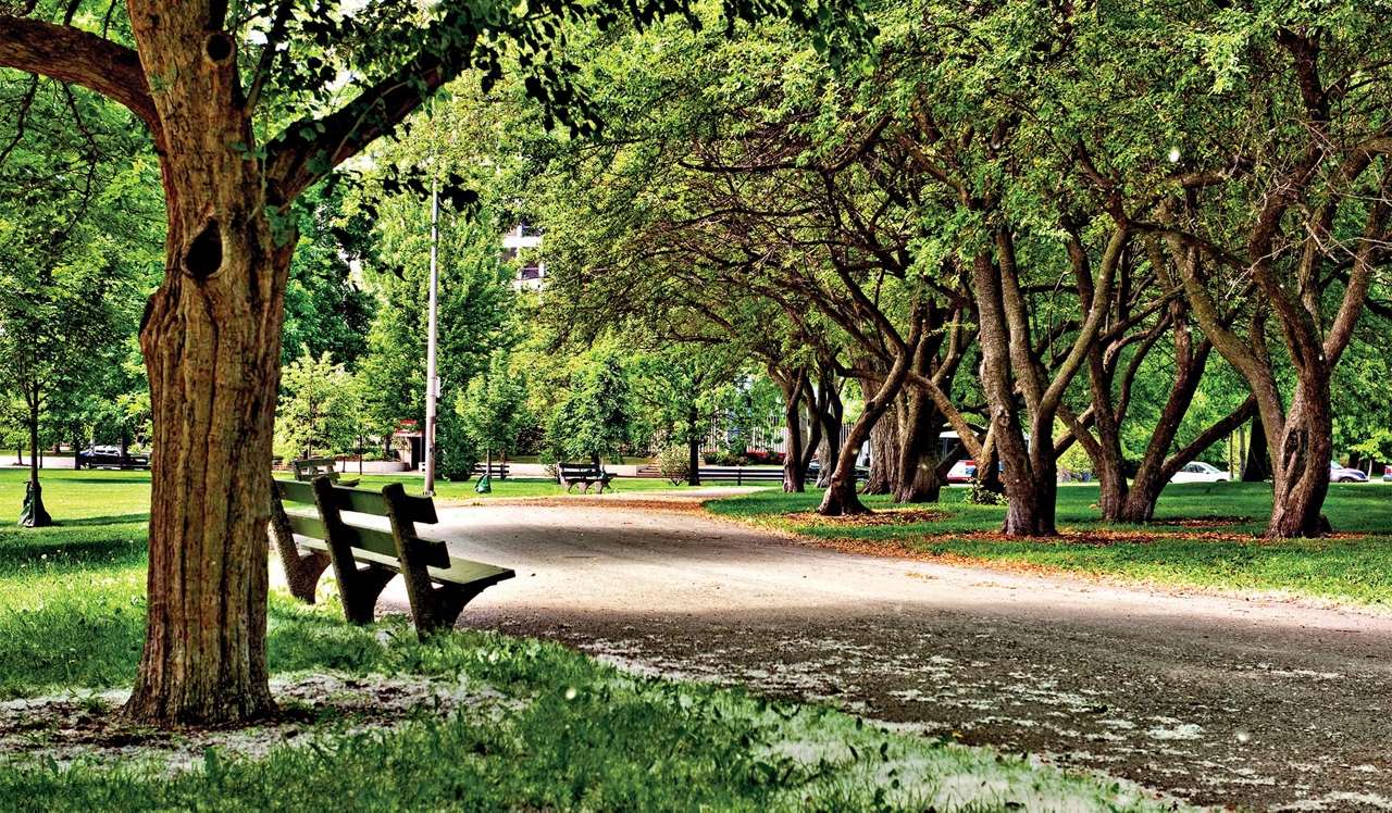 Hyde Park Towers - Chicago, IL - Park