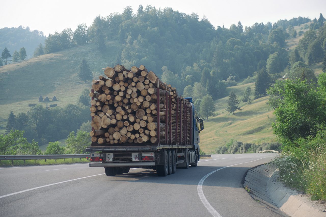 Logging Truck