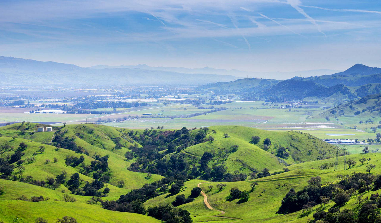 Monterey Grove - San Jose, CA - Santa Teresa Country Park