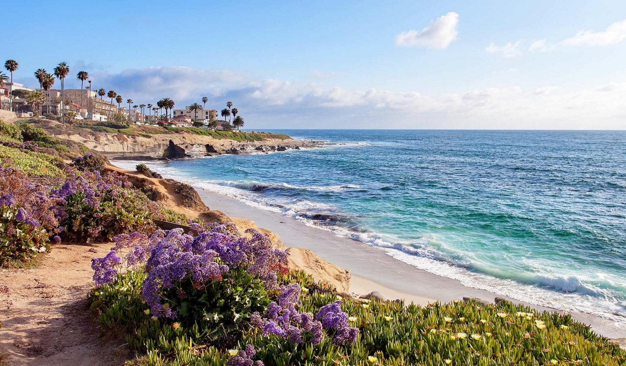 Ocean House Apartments - La Jolla, CA - La Jolla State Beach .<div style="text-align: center;">The La Jolla Tide Pools and Whale View Point are just a 5-minute walk from your front door.&nbsp;</div>

