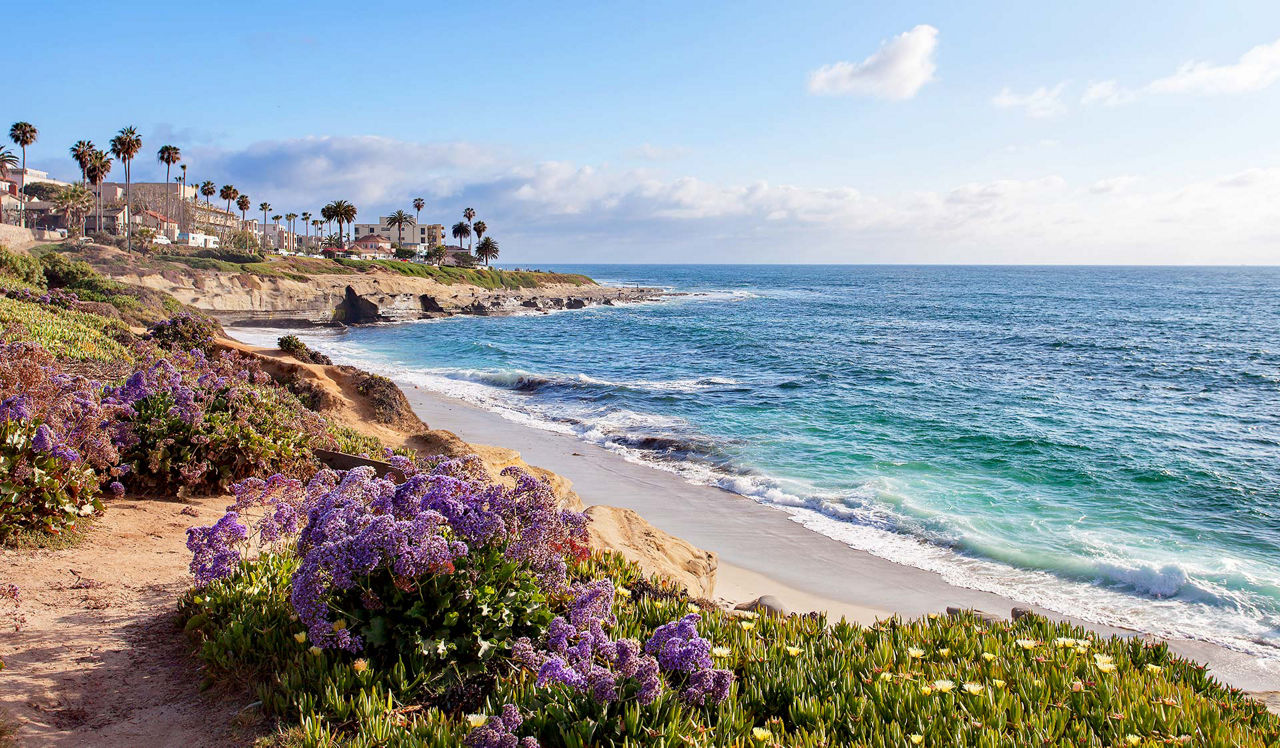 Ocean House on Prospect - La Jolla, CA - Pool