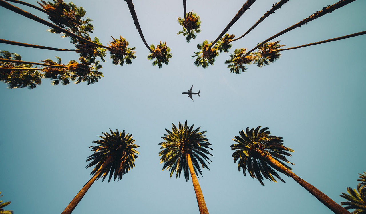 Solea at Miami Lakes - Hialeah, FL - plane