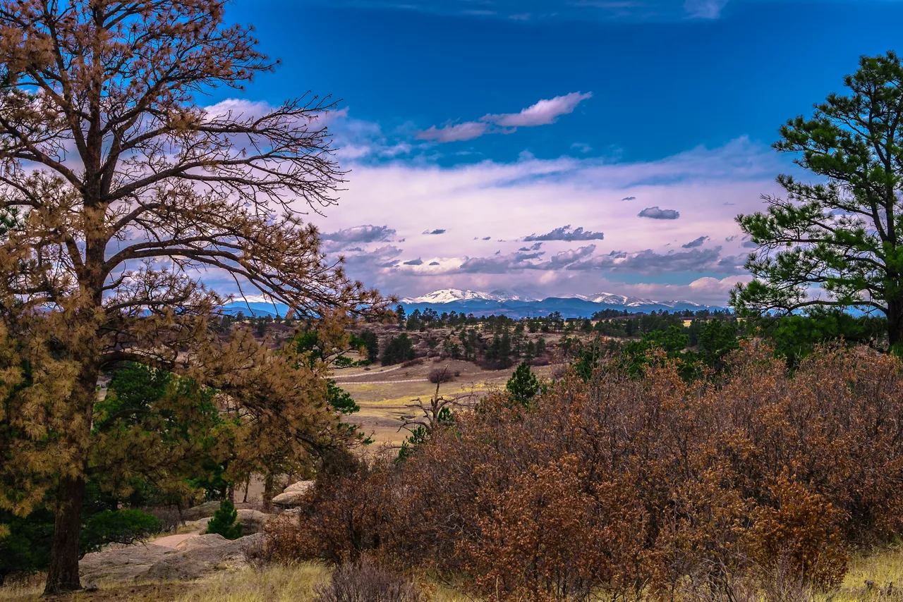 Nature trail
