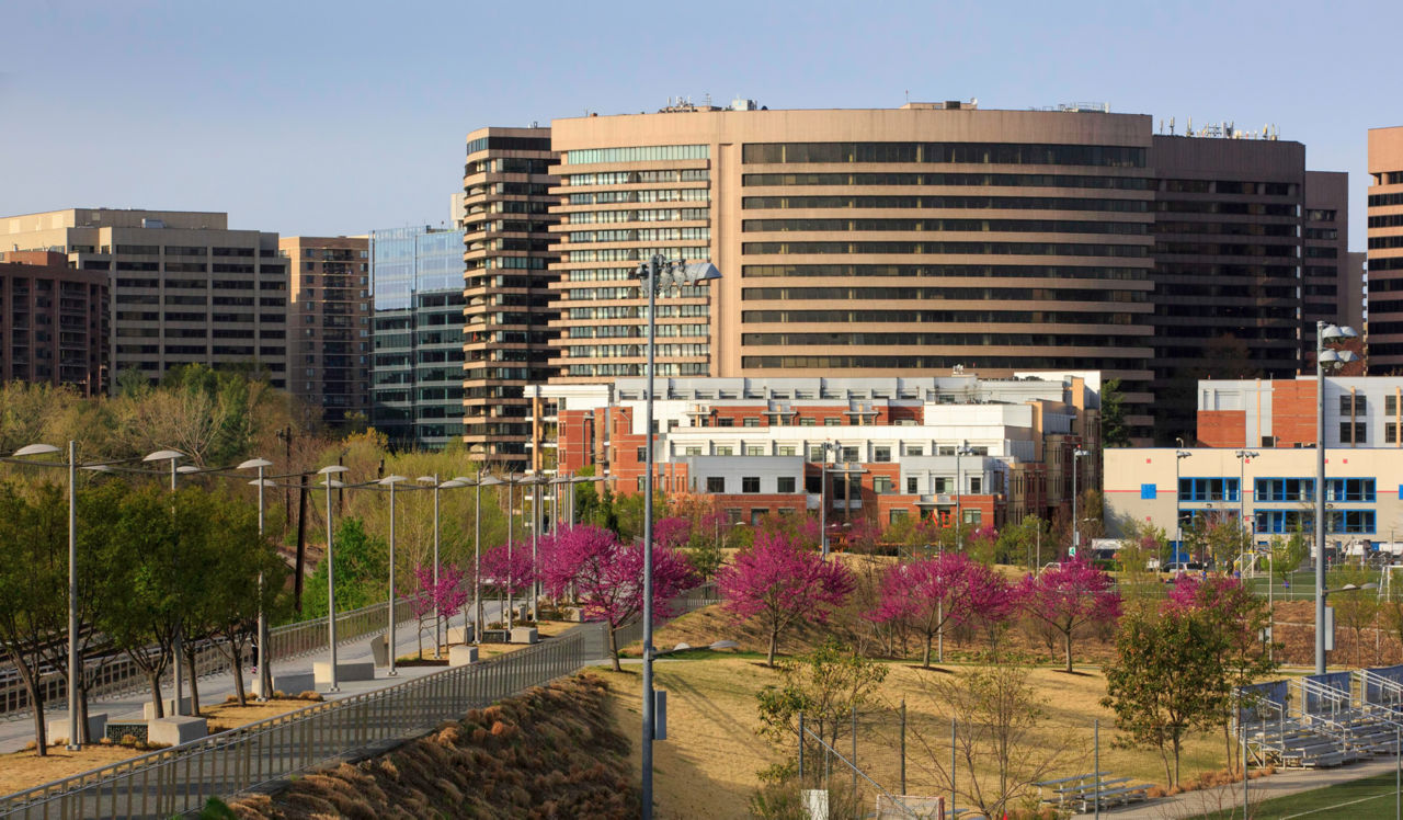 Avery Row - Arlington, VA - Wide angel shot of Crystal City 