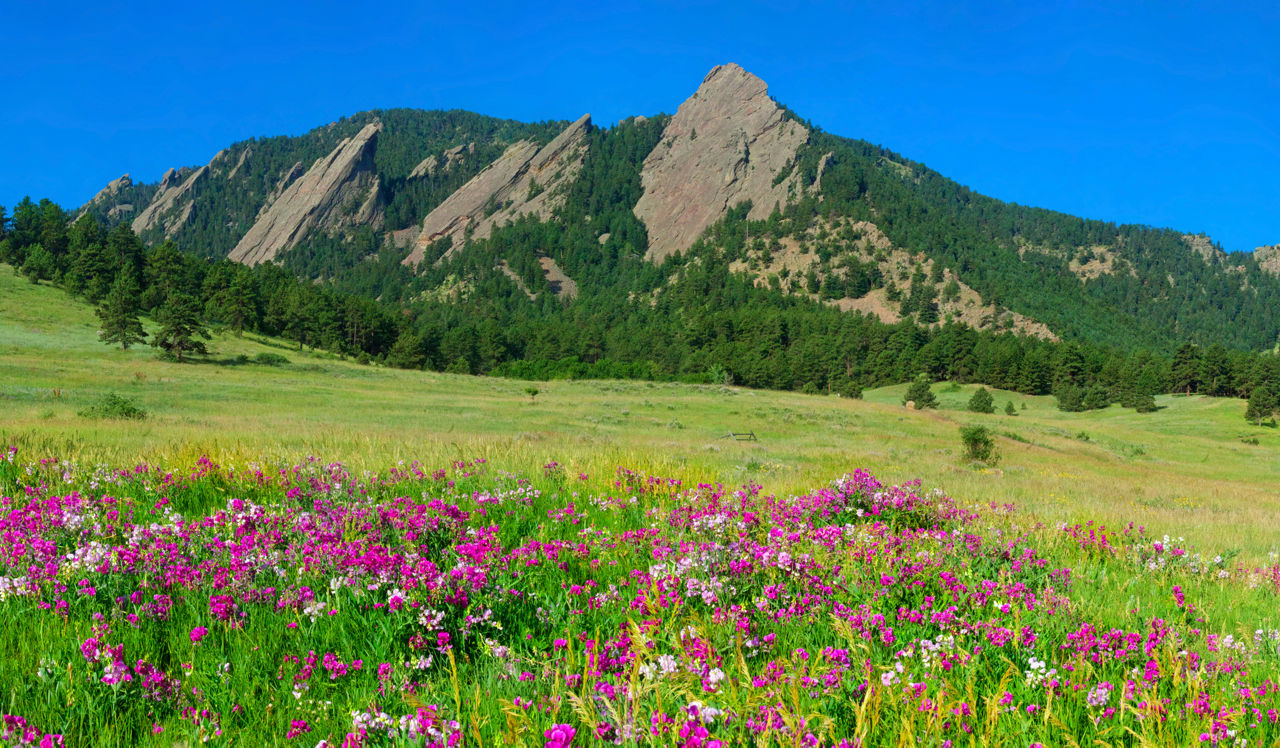 Meadow Creek - Boulder, CO - Flatirons