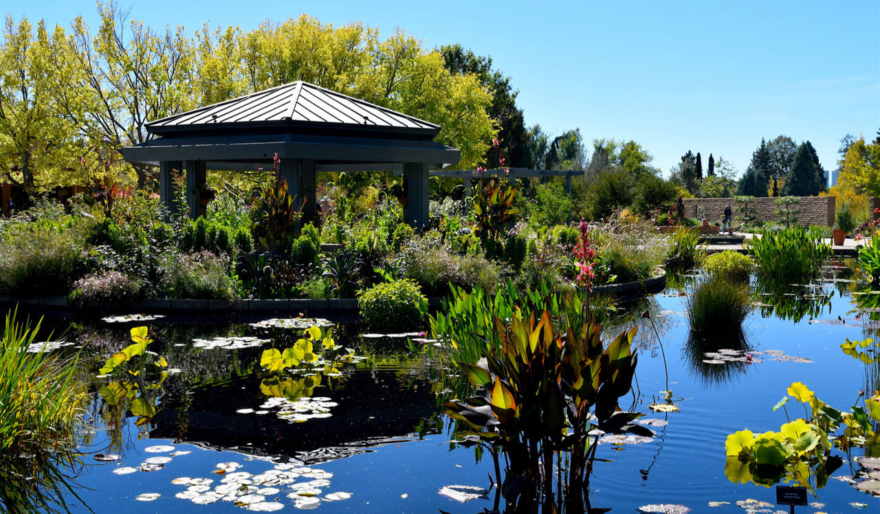 Creekside - Denver, CO - Denver Botanical Gardens