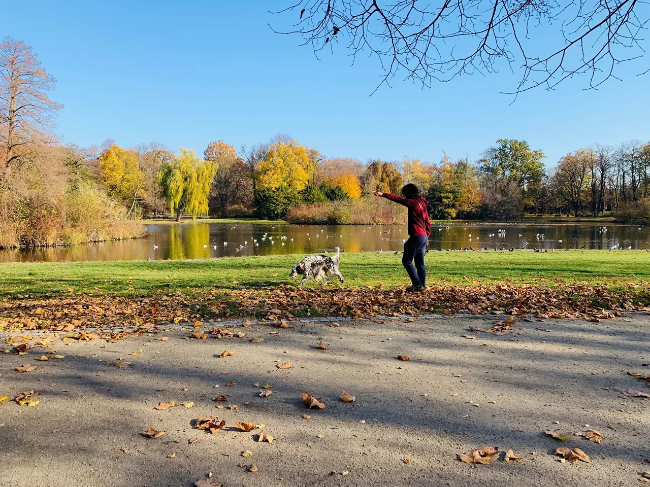 Parks