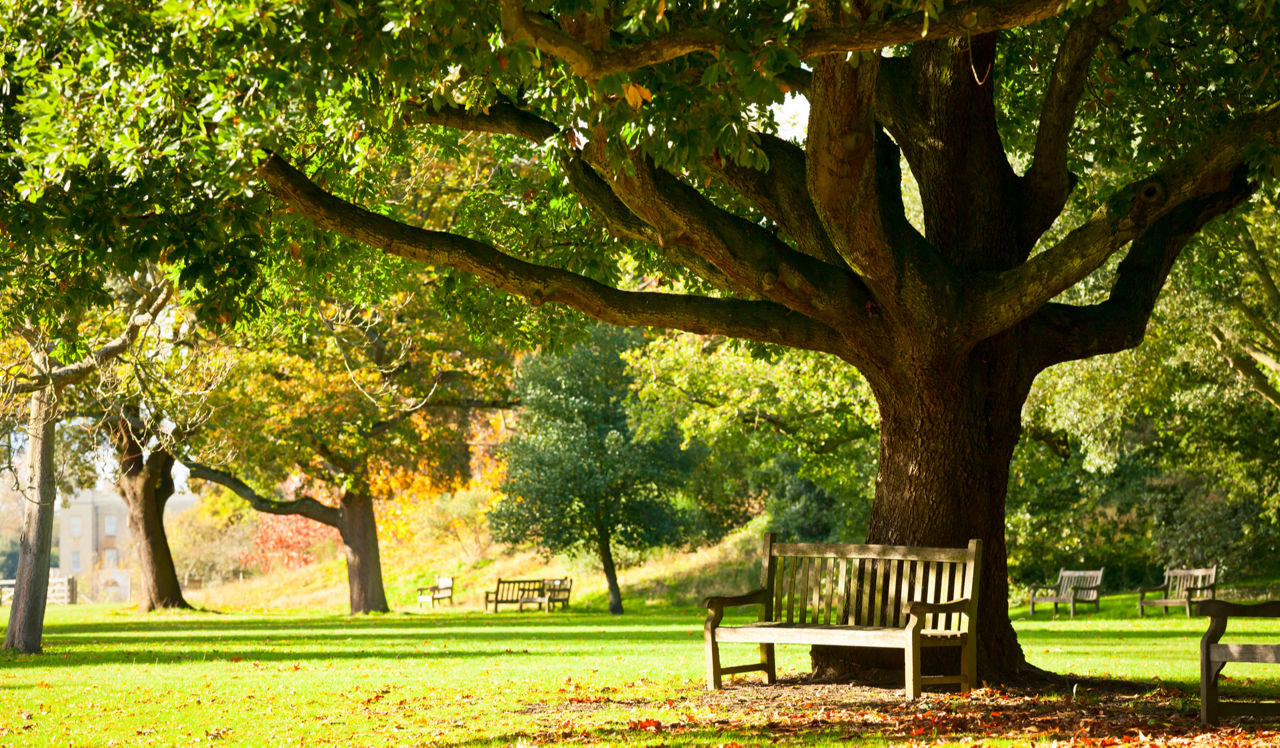 Hillmeade - Nashville, TN - Edwin Warner Park