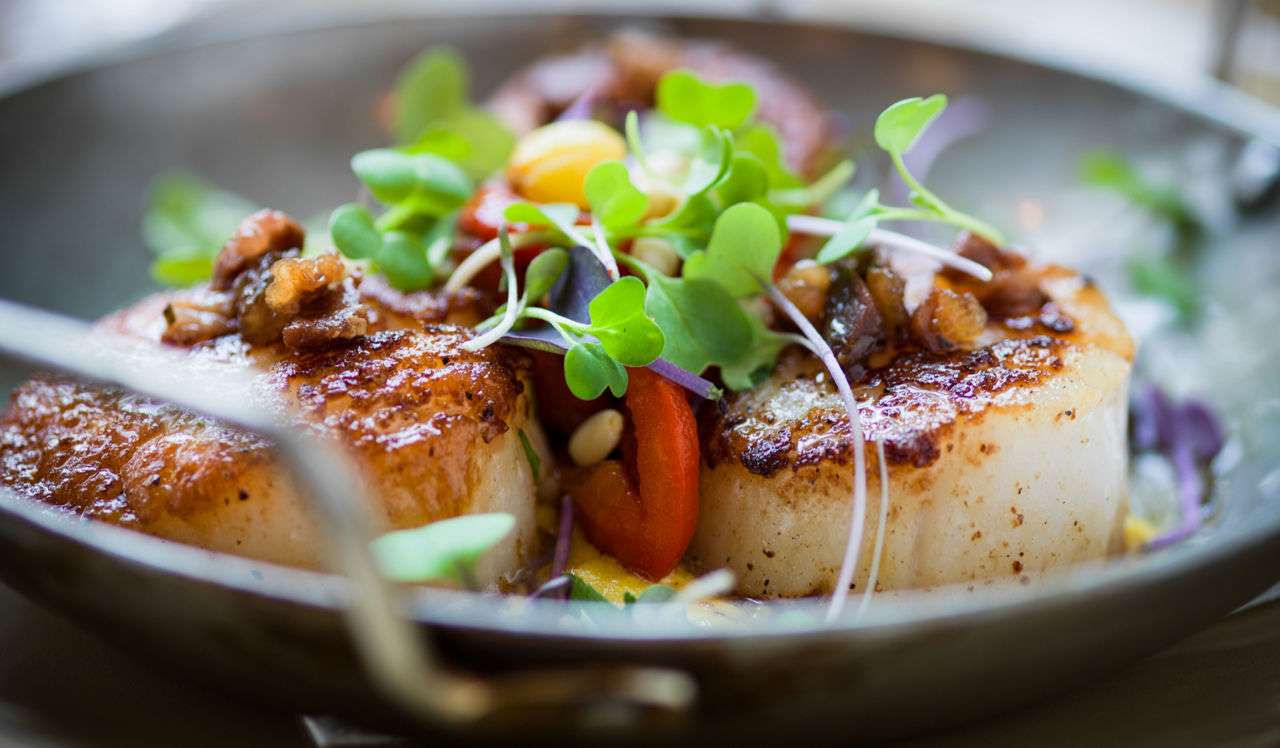 The Left Bank | Philadelphia, PA | Scallops on a plate 