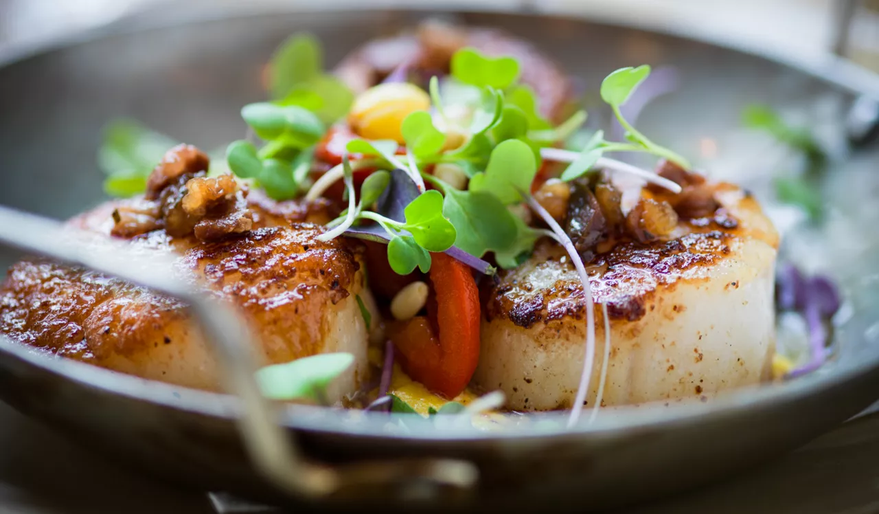 The Left Bank | Philadelphia, PA | Scallops on a plate 