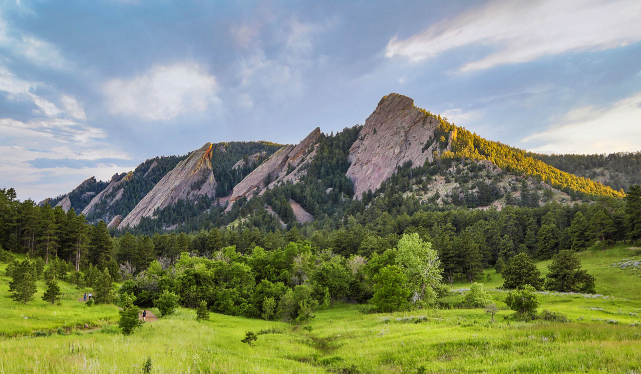 Verdant - Boulder, CO - Flatirons