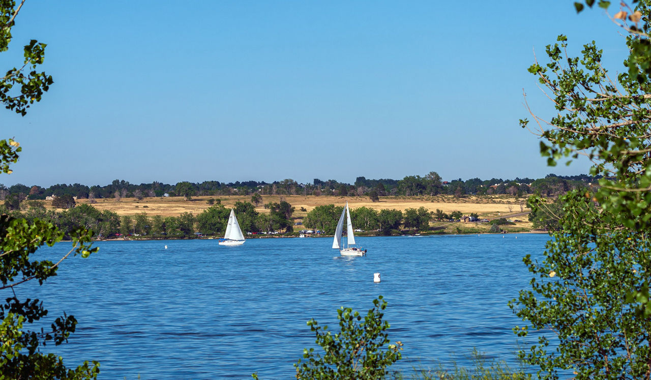 Arcadia - Centennial, CO - Cherry Creek Reservoir