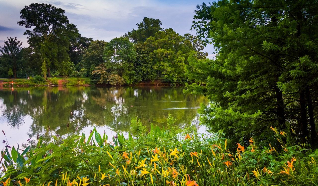 Piedmont Park