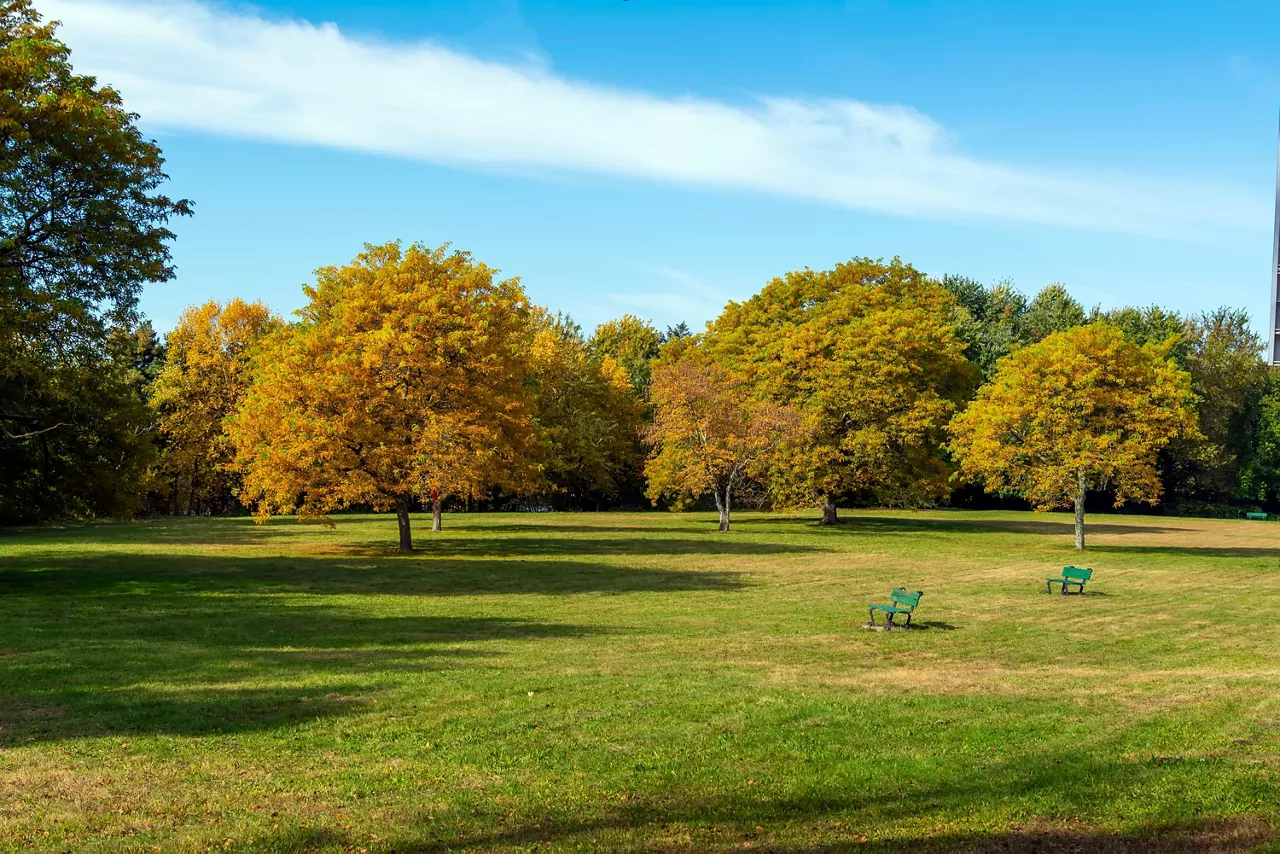 Park