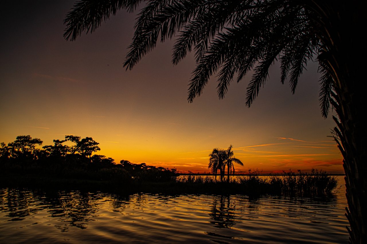 Winter Springs 