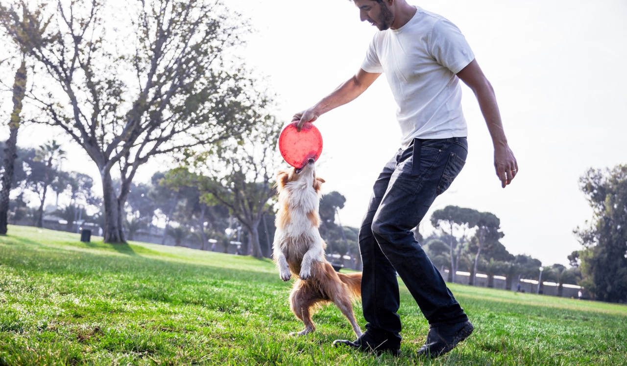 Pacific Bay Vistas - San Bruno, CA - Dog Park