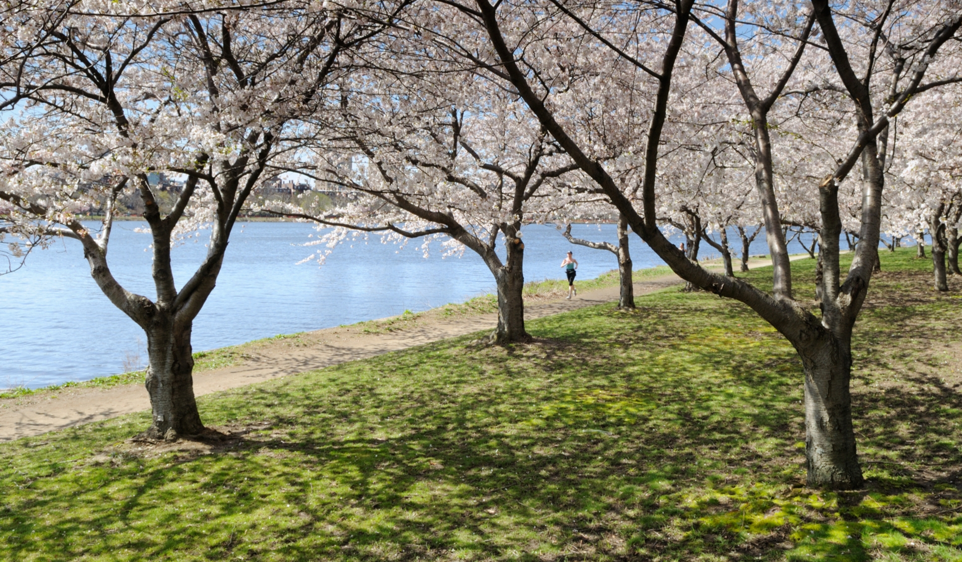 Axiom Apartments - Cambridge, MA - Bike Path.&nbsp;
The Charles River bike and running paths are right across the street with access to all of Cambridge and Boston.
