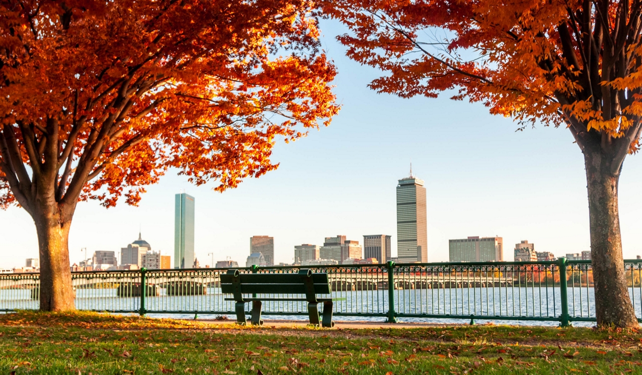 Axiom Apartments - Cambridge, MA - City Skyline