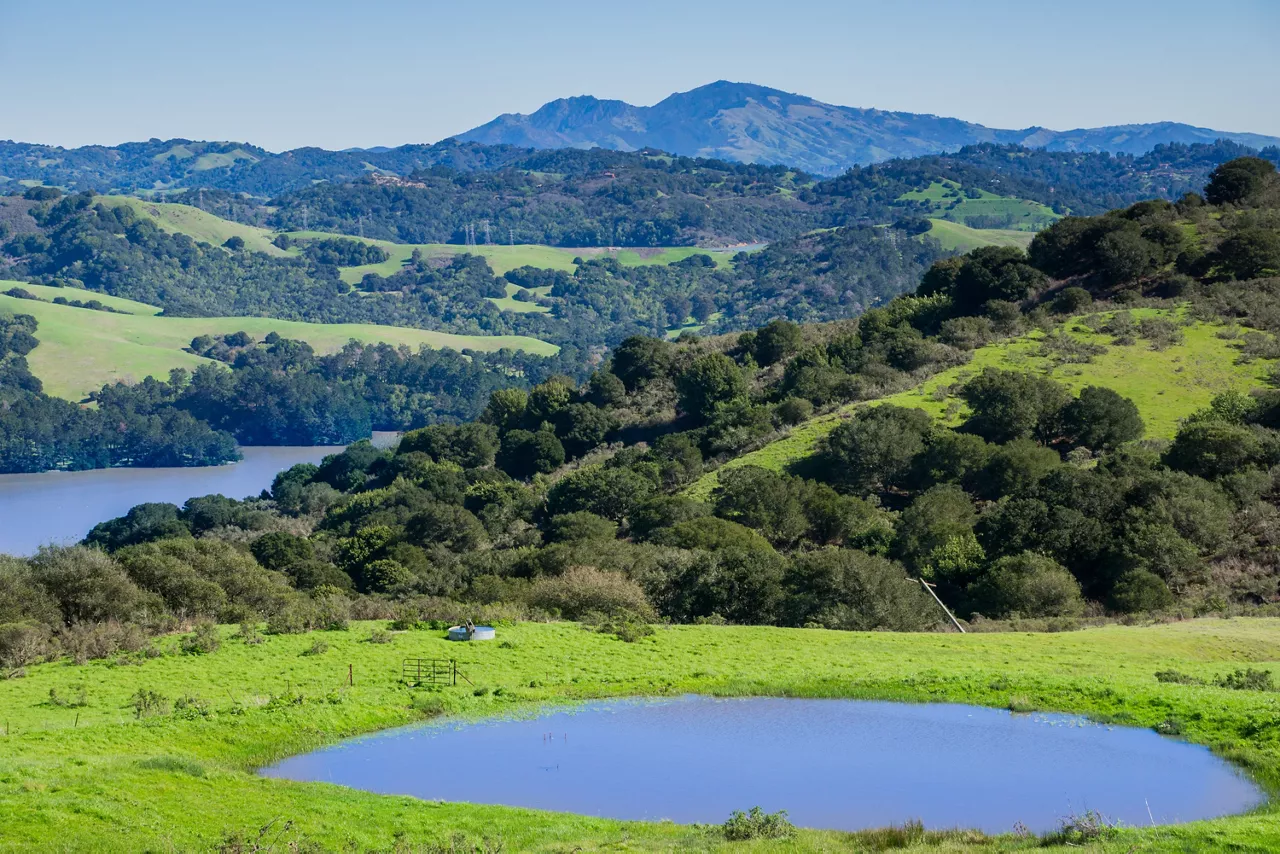 The Tides - Richmond, CA - Wildcat Canyon Regional Park
