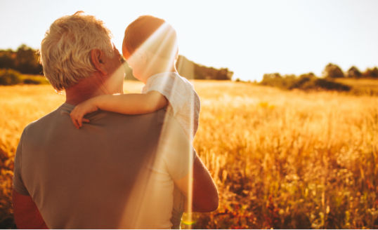 Back view of an older adult male wearing a gray t-shirt holding a toddler: backdrop is a golden-colored field on a sunny day