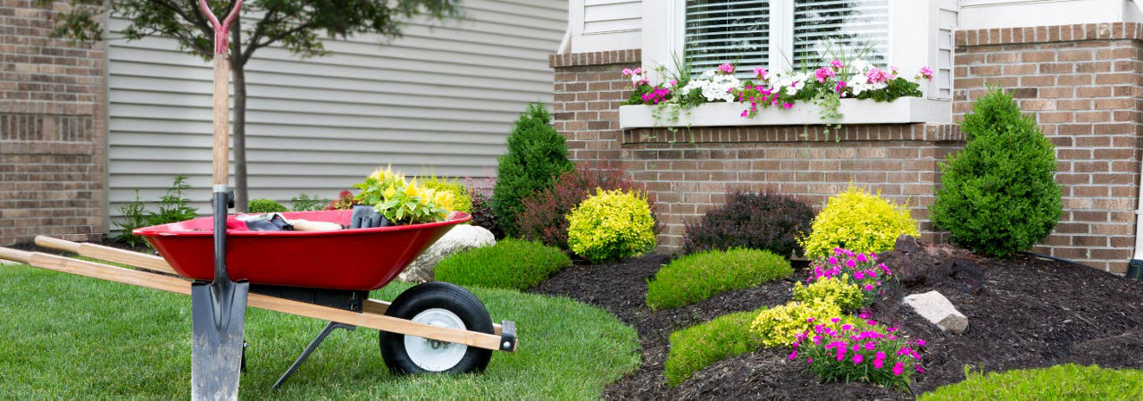 Cleaning up home landscaping