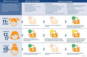 Chart explaining the levels and types of proxy access.