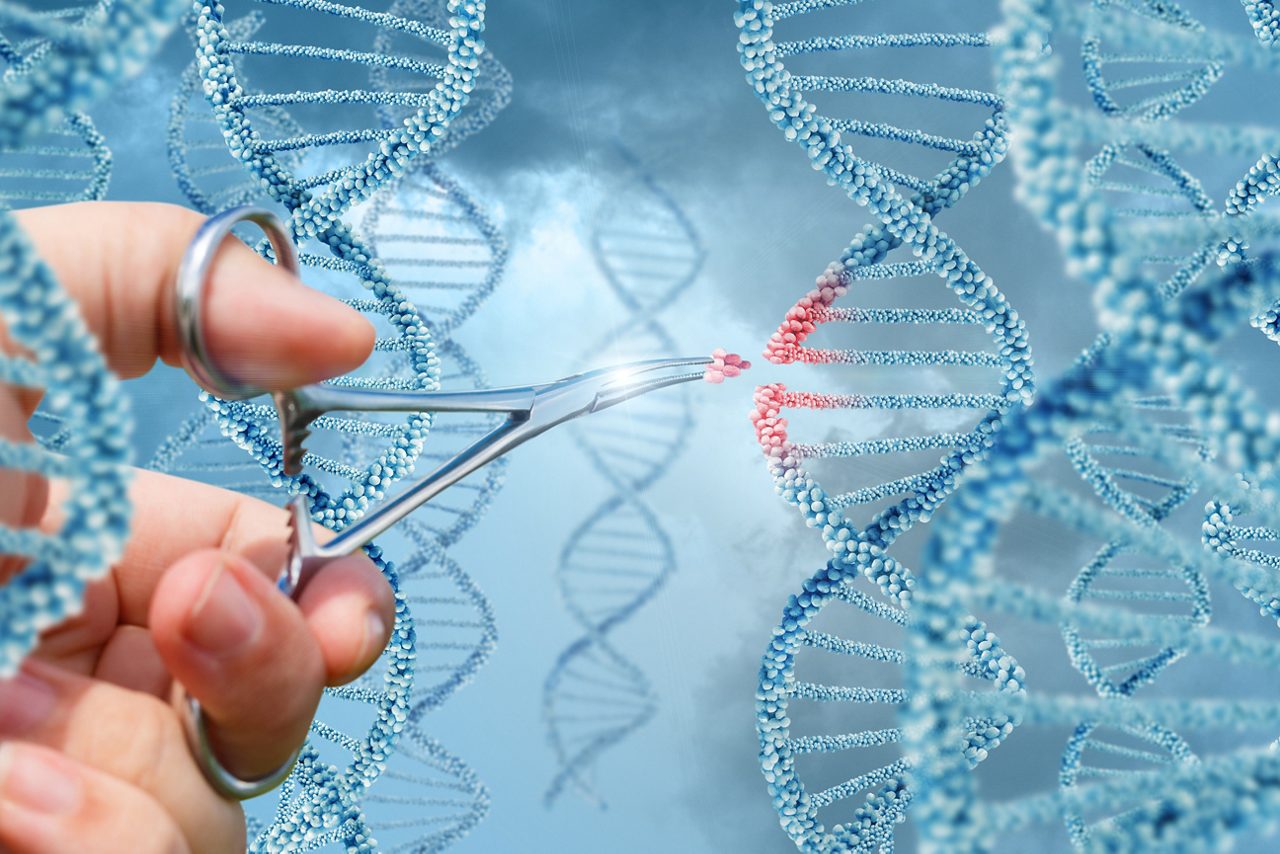 A researcher clips a piece of DNA.