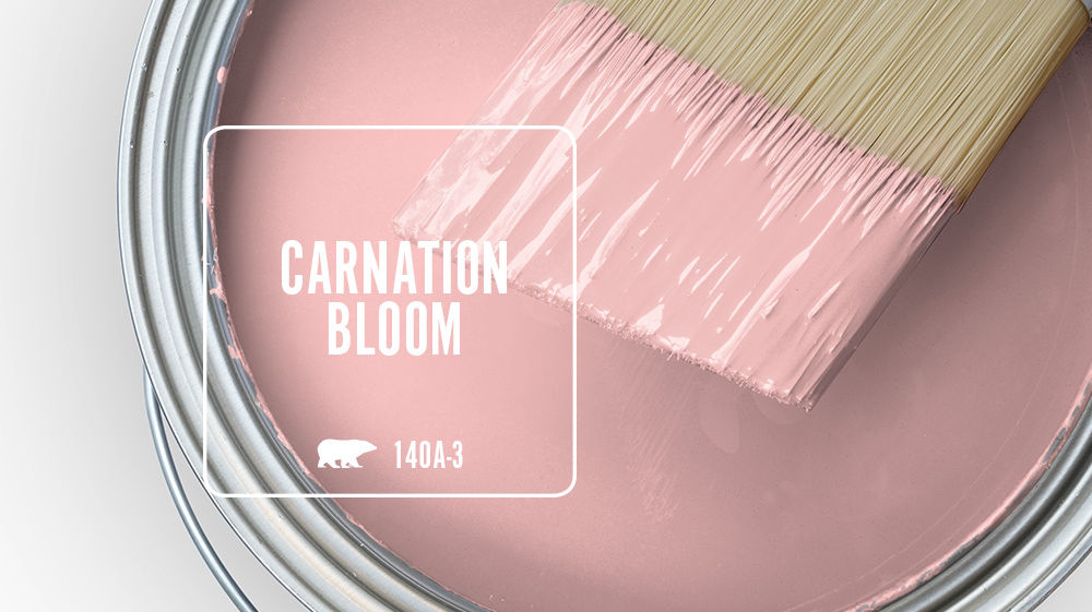 CARNATION BLOOM Color for Mobile